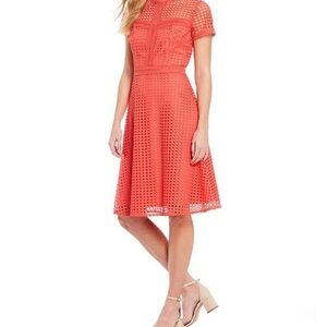 Antonio Melani Stella short sleeve embroidered lace dress Size 12